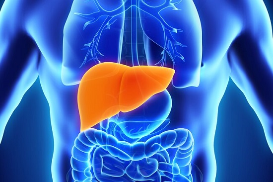 human liver detox