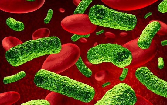 Does Oregano Oil Kill Good Bacteria2