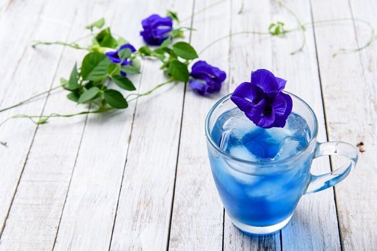 Blue Butterfly Pea Flower Tea Health Benefits3