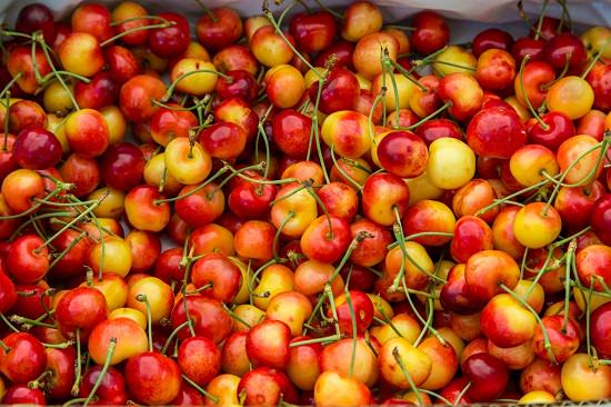 Rainier Cherry Benefits1