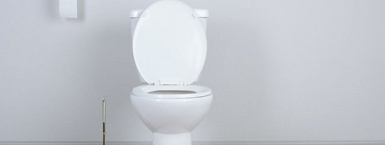 How To Clean Toilet Rings2