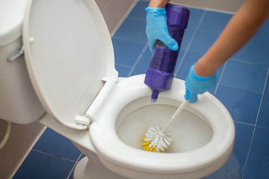 How To Clean Toilet Rings4